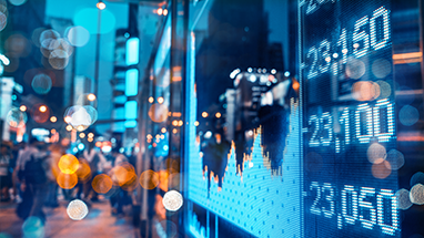 香蕉视频免费观看 - 投资者关系