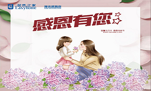 居然之家武昌店开展母亲节